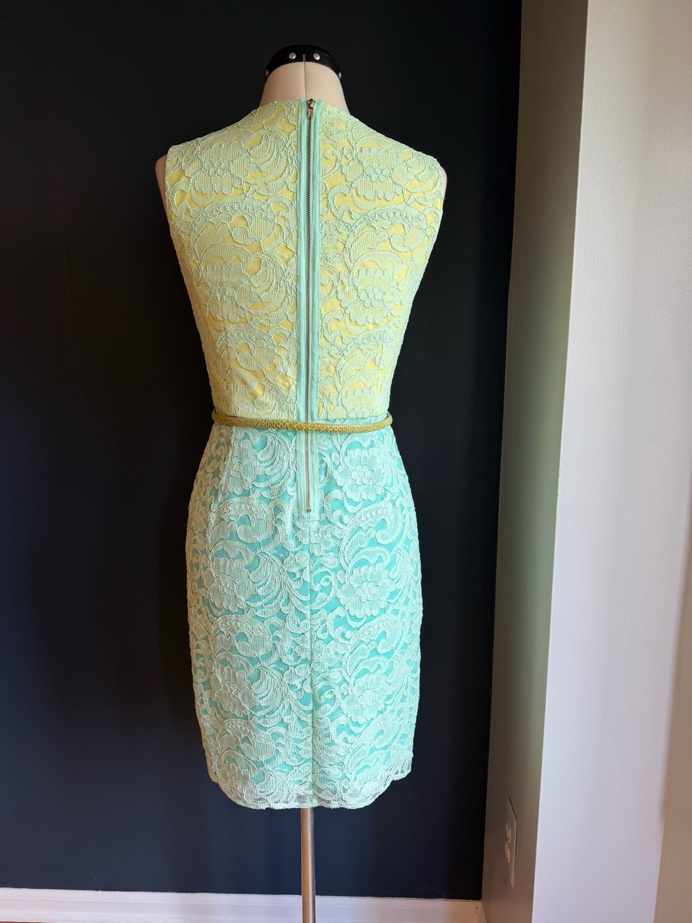 Maggy London Petites, Sleeveless Corded Lace Overlay Sheath Dress - Picture 3 of 10